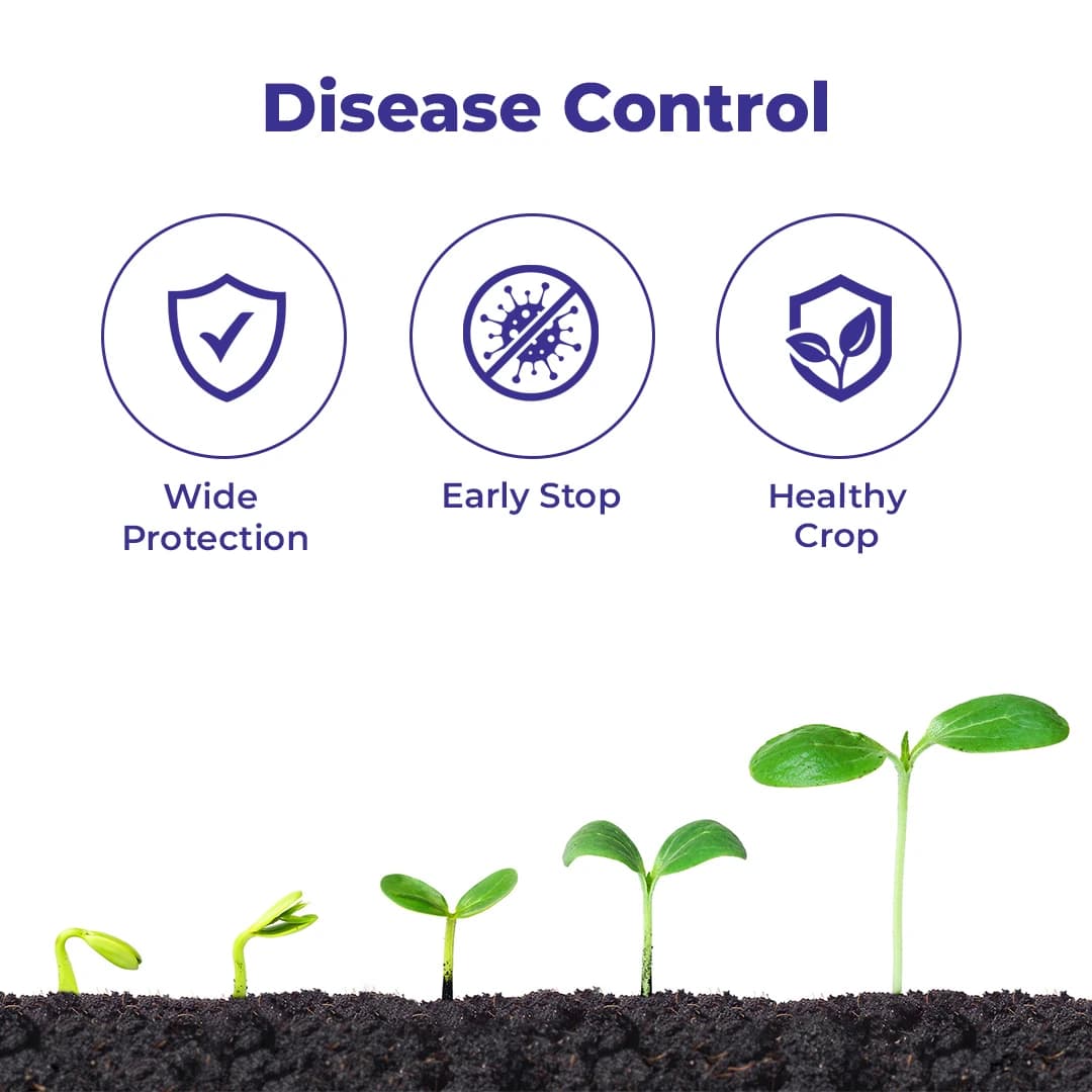 Exylon Aether Fungicide - Azoxystrobin 18.2% + Difenoconazole 11.4% SC - Image 3