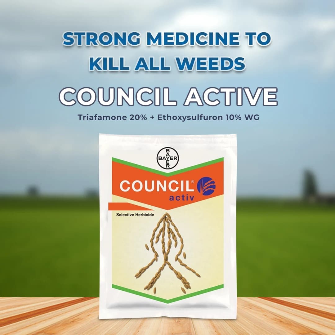 Bayer Council Activ Herbicide - Image 2