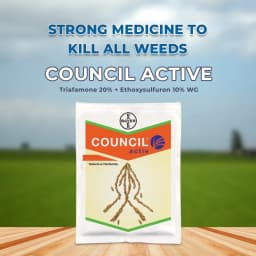 Bayer Council Active Triafamone 20% + Ethoxysulfuron 10% WG, Latest Post Emergent Rice Herbicide. 2