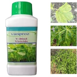 Viricide Combo Offer (V Bind 500 ml + Imuen 500 ml) For Controlling Papaya and Chilli Viral Disease, Leaf Curl, Mosaic Virus 3