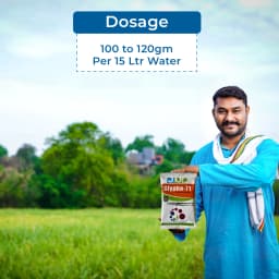 जेयू ग्लाइफो-71, ग्लाइफोसेट 71% एसजी, गैर-चयनात्मक खरपतवारनाशक, चाय और गैर-फसल क्षेत्रों में विभिन्न प्रकार के खरपतवारों के नियंत्रण के लिए 5