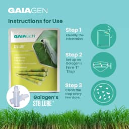 GAIAGEN Pheromone Funnel Trap and Lure For Sugarcane Top Borer (Scirpophaga excerptalis) And Insect Funnel Trap Combo pack 5