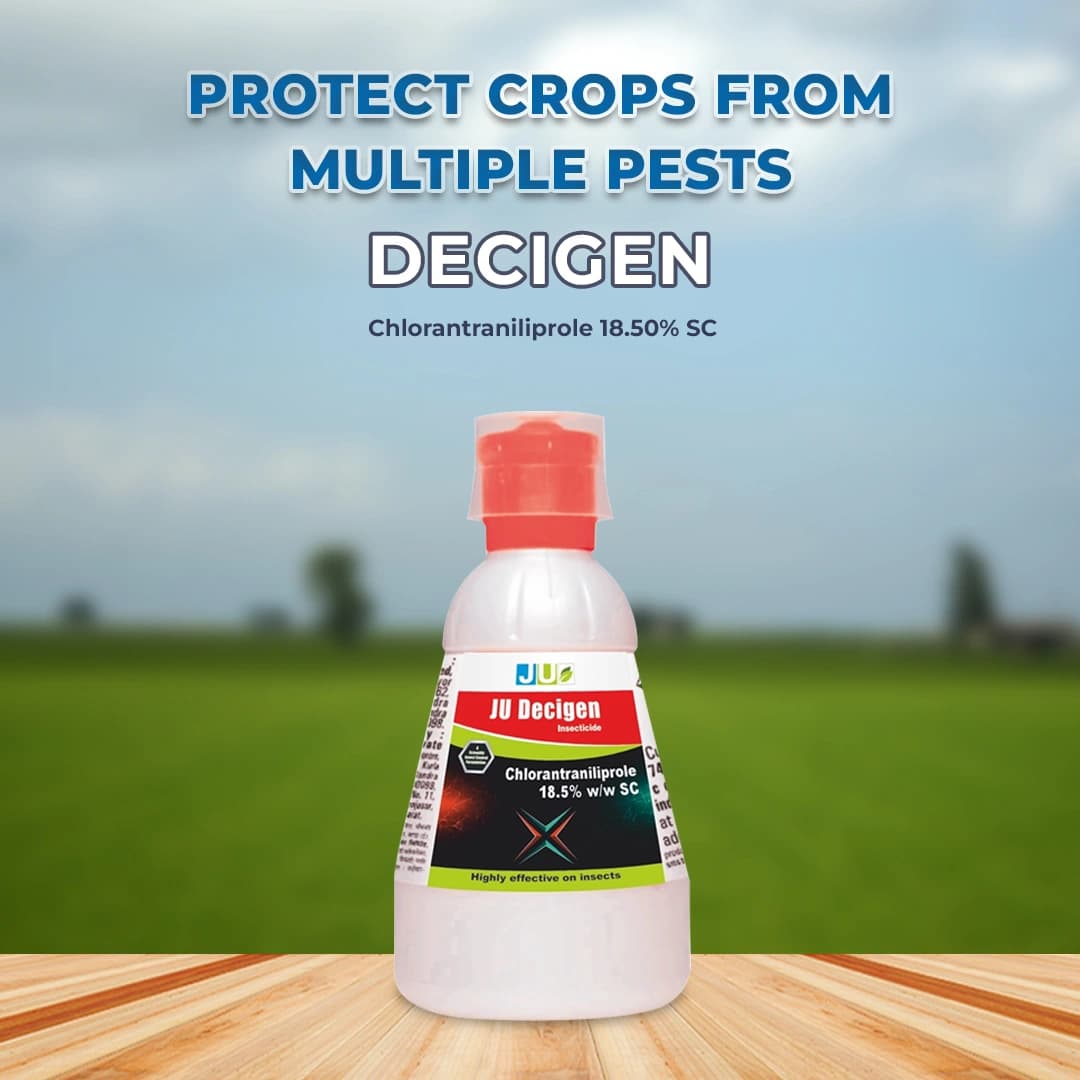 JU Decigen Chlorantraniliprole 18.50% SC Insecticide, Long-Lasting Insect Control In Crops - Image 2