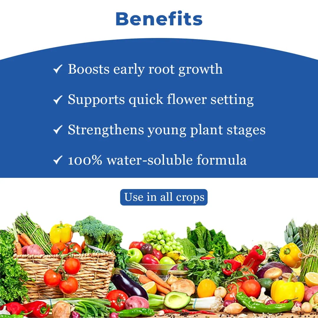 ICL Mono Ammonium Phosphate (12:61:00) Water Soluble Fertilizer and Recommended Using For Drip Fertigation or Foliar Spray - Image 4