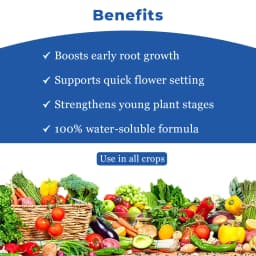 ICL Mono Ammonium Phosphate (12:61:00) Water Soluble Fertilizer and Recommended Using For Drip Fertigation or Foliar Spray 4