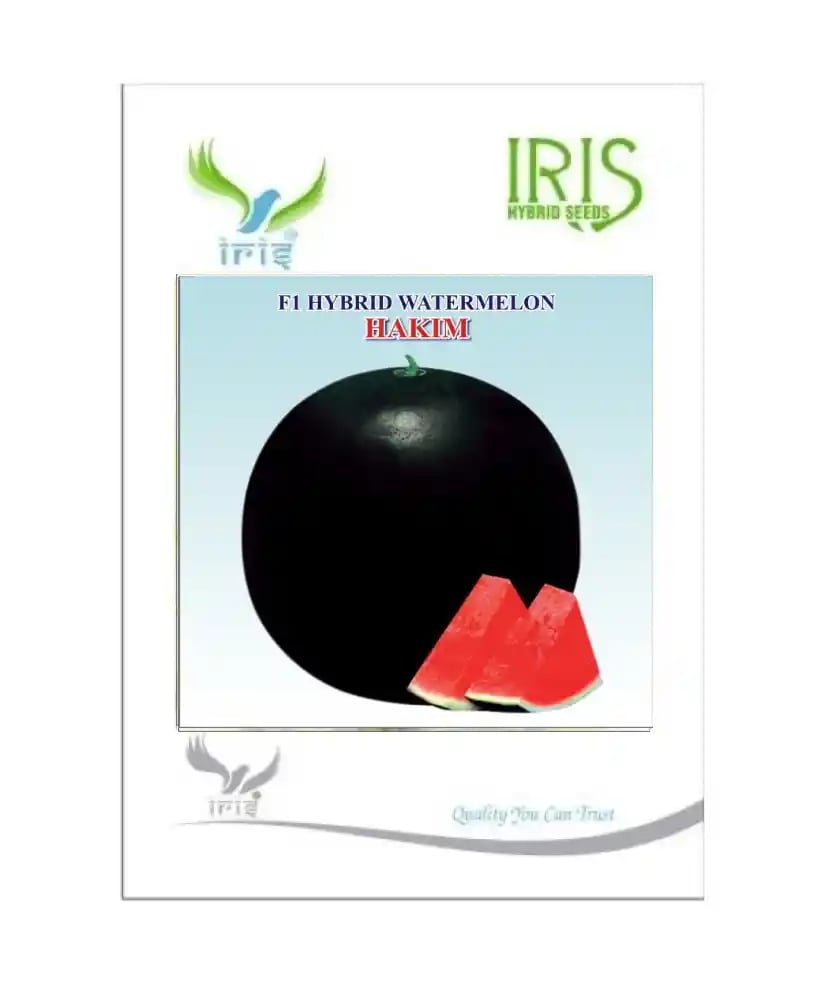 Iris Hybrid Fruit Seeds F1 Hybrid Watermelon Hakim - Sugar Baby Type, Tarbooj Ke Beej