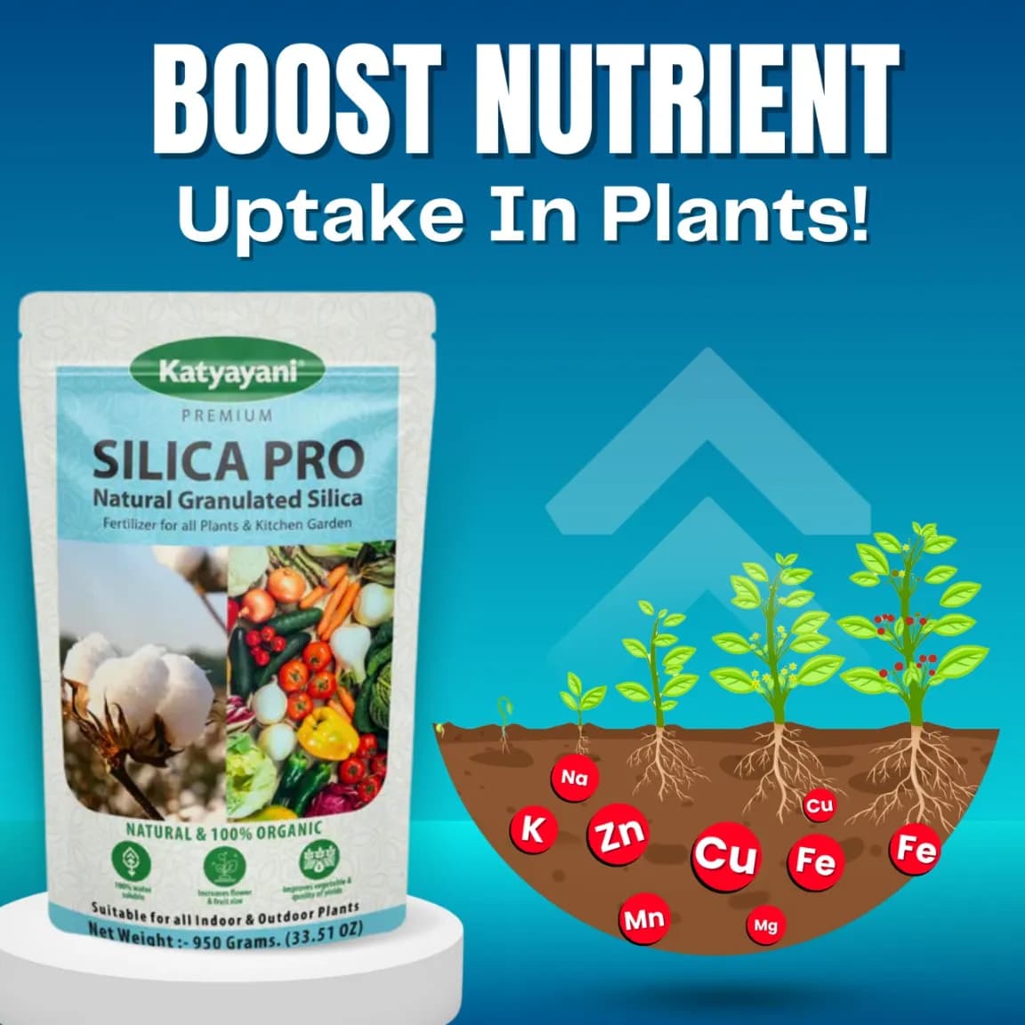 Katyayani Silica Pro Natural Granulated Silica, Organic Fertilizer, Best Solution For Gardening - Image 2