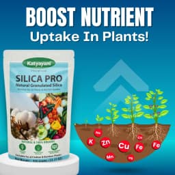 Katyayani Silica Pro Natural Granulated Silica, Organic Fertilizer, Best Solution For Gardening 2