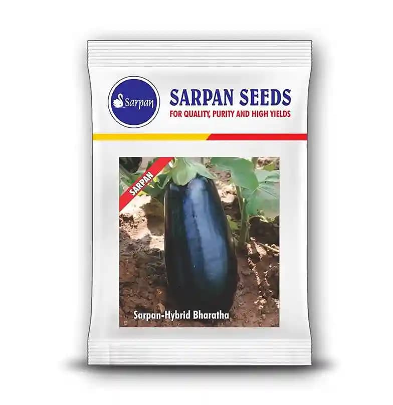Sarpan Hybrid Bharatha Brinjal Seeds, Tall Plants with Big Plumpy Fruits.