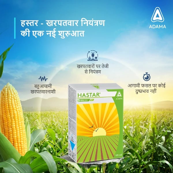 Adama Hastar Herbicide