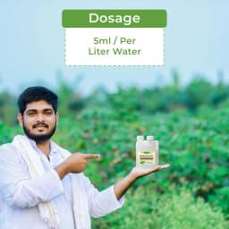 Katyayani Catalyser Silicon Super Spreader for Plants & Garden, Contain Natural Silica, Increase Crop Production, Reduces Loss Of Nutrients 5