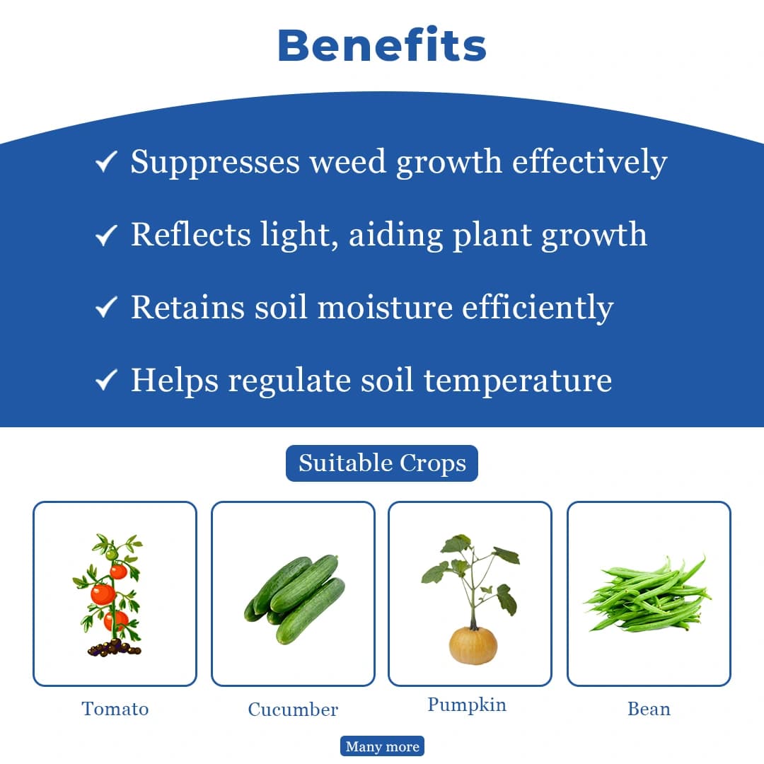 Siddhi Mulch Film, Mulching Sheet, Mulching Paper Black & Silver Mulching Paper (1.2 Meter or 4 Ft Width) 400 Meter Length - Image 4