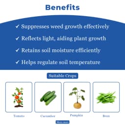 Siddhi Mulch Film, Mulching Sheet, Mulching Paper Black & Silver Mulching Paper (1.2 Meter or 4 Ft Width) 400 Meter Length 4