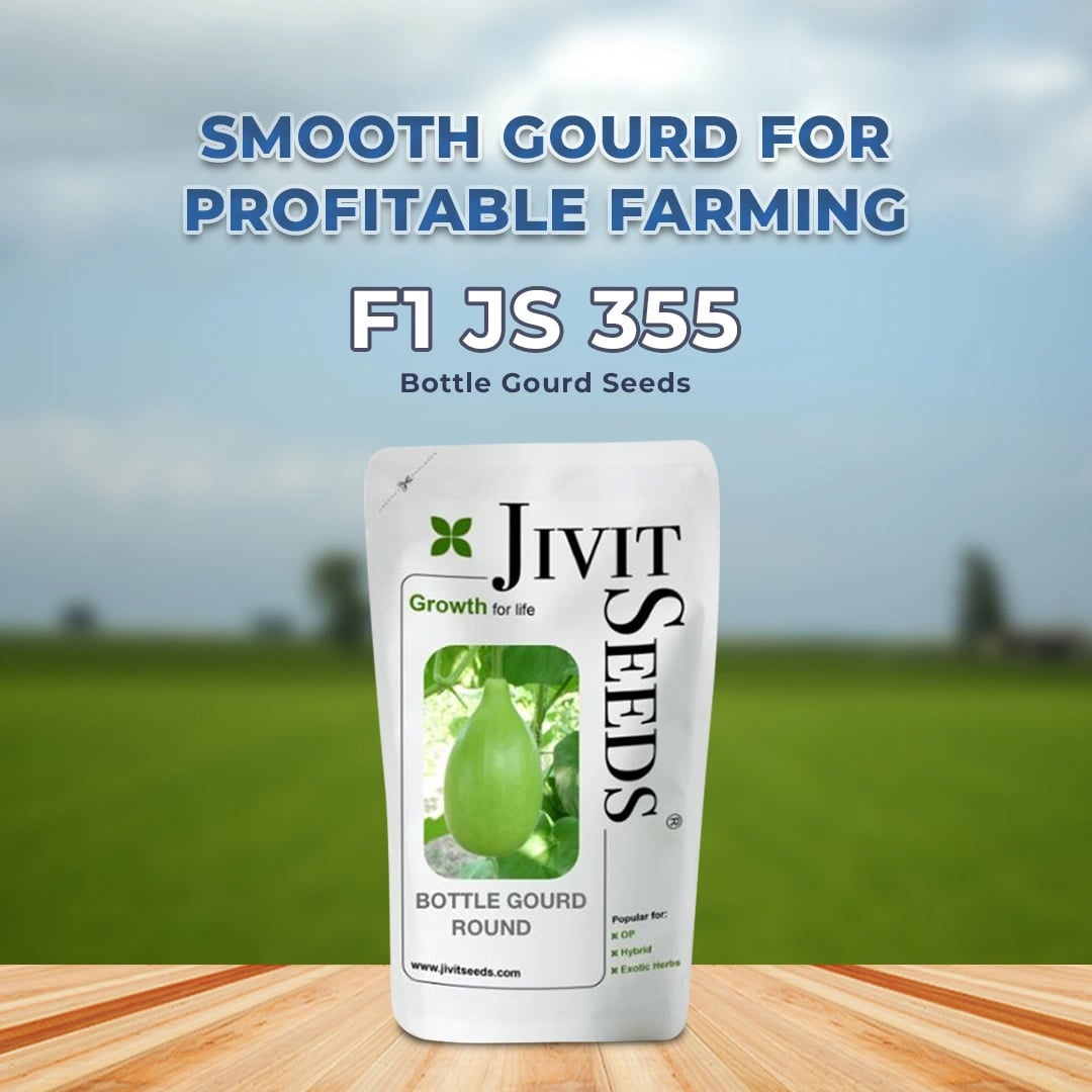 Jivit JS 355 Bottle Gourd Seeds - Lauki Seeds
