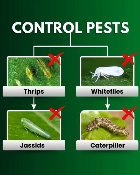 Katyayani Triple Attack Bio-Insecticide - Image 7