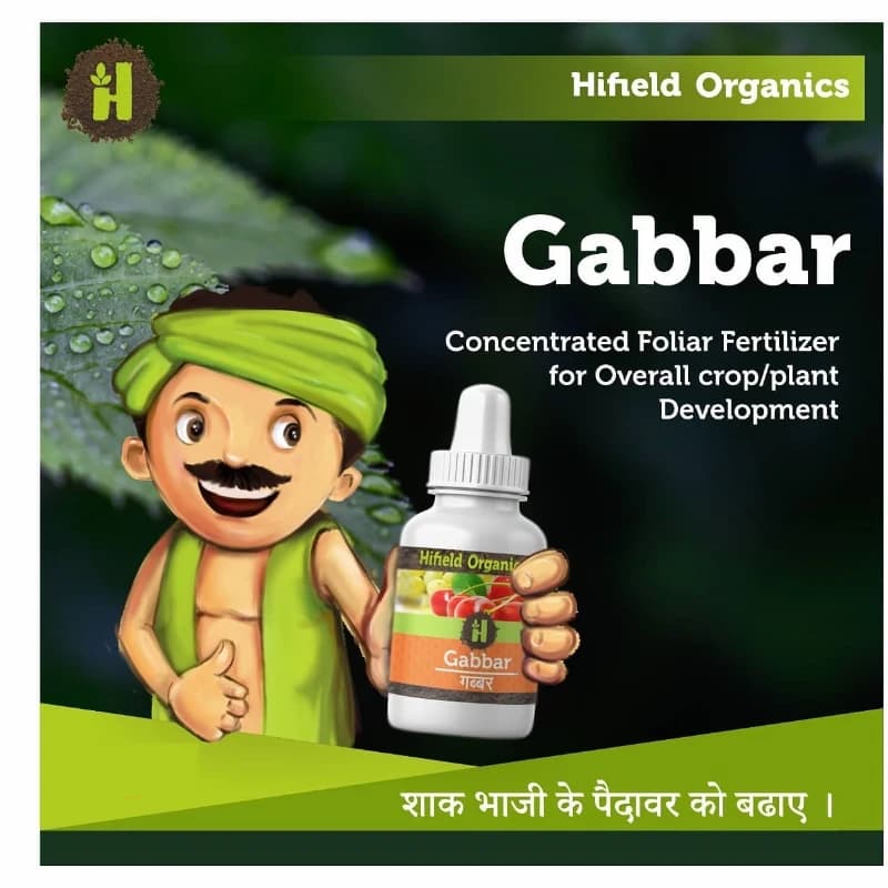 Hifield Gabbar Bio-Stimulant for Enhanced Vegetative Growth, Flowering, & High Yield - Image 2