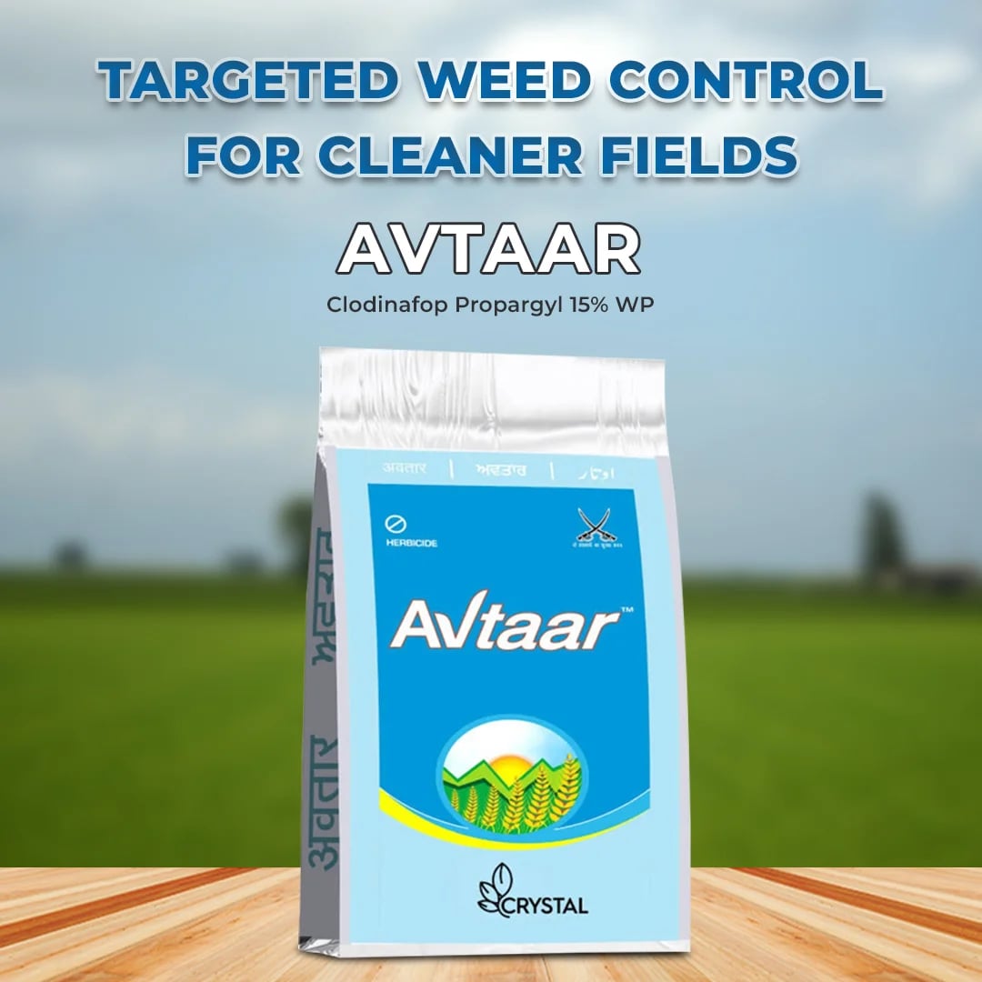 Crystal Avtaar Clodinafop Propargyl 15% WP Herbicide, Controls Narrow Leaf Weeds In Wheat Crop