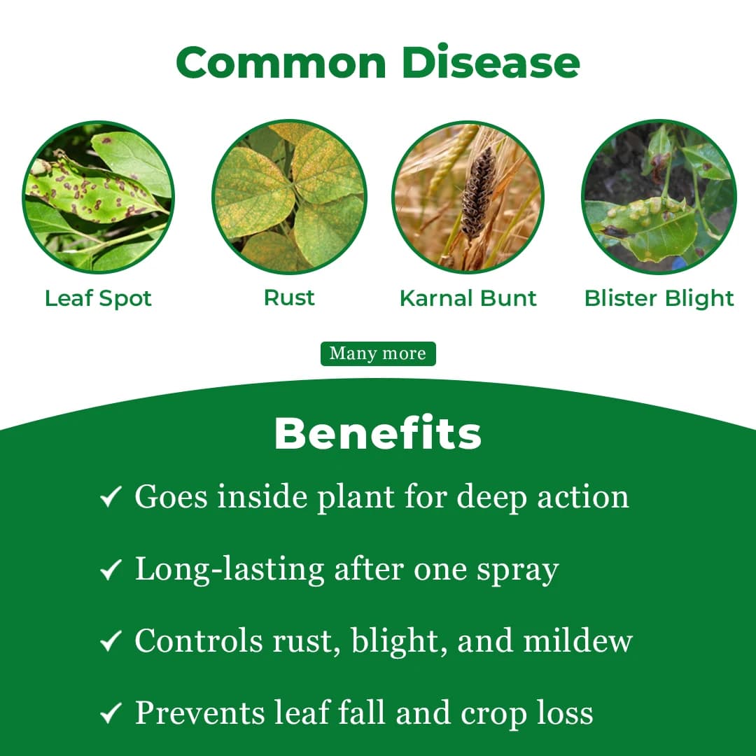 Katyayani Boost Fungicide - Propiconazole 25% EC - Image 3