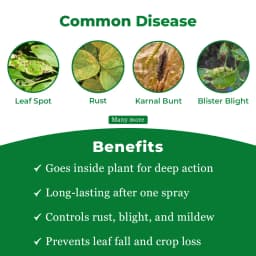 Katyayani Boost Fungicide - Propiconazole 25% EC 3