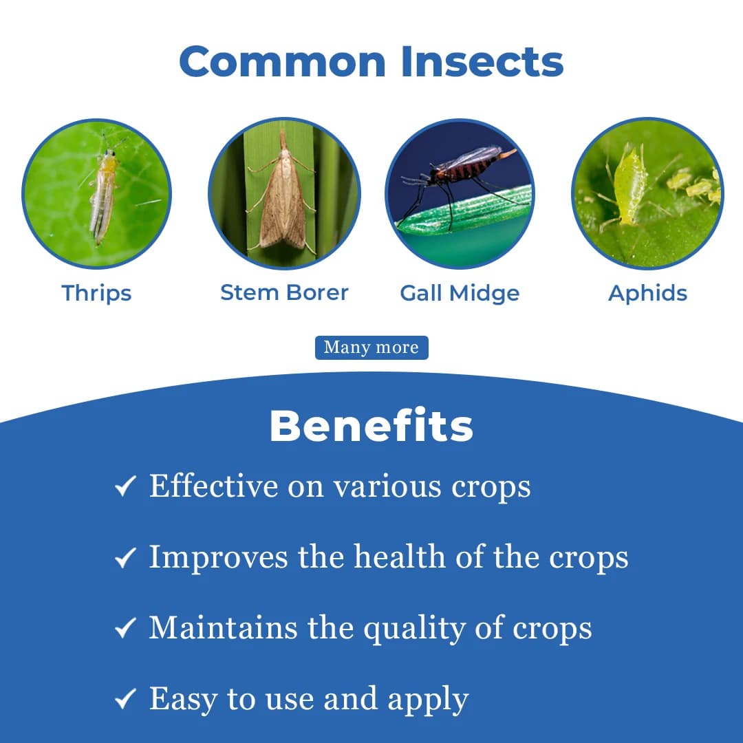 Texan Insecticide - Thiamethoxam 25% WG - Image 3