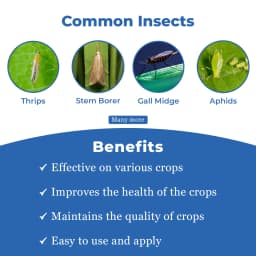 Texan Insecticide - Thiamethoxam 25% WG 3