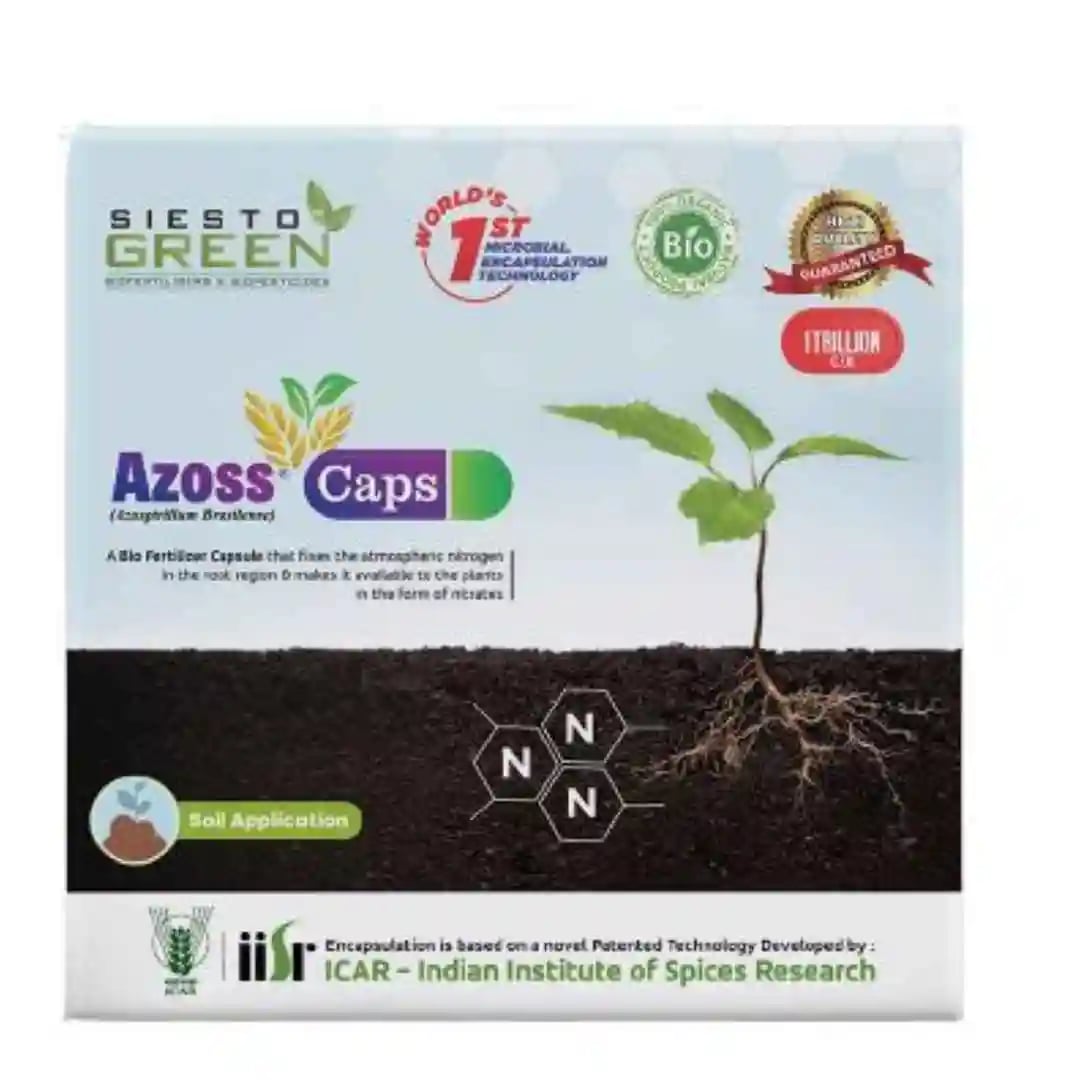 Siesto Azoss Capsules. Capsules containing a free-living nitrogen-fixing bacterium known as Azospirillium.