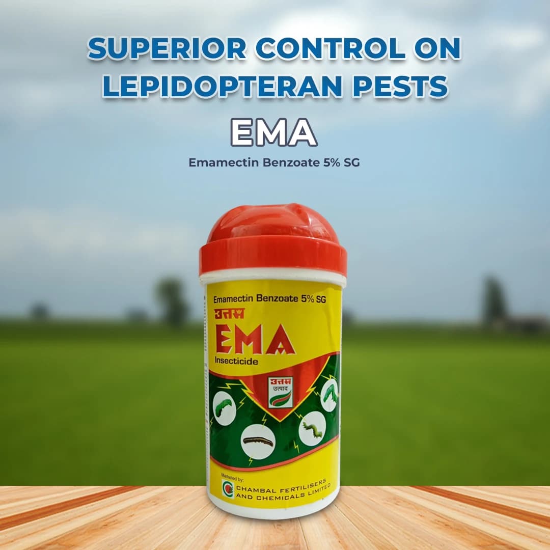 Uttam EMA Emamectin Benzoate 5% SG Insecticide, Used for Control of Caterpillars. Fruit & Shoot Borer, Bollworms - Image 2