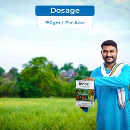 Nagarjuna Index Myclobutanil 10% WP Systemic Fungicide, With Broad Spectrum Activity To Fight Fungal Cell 5