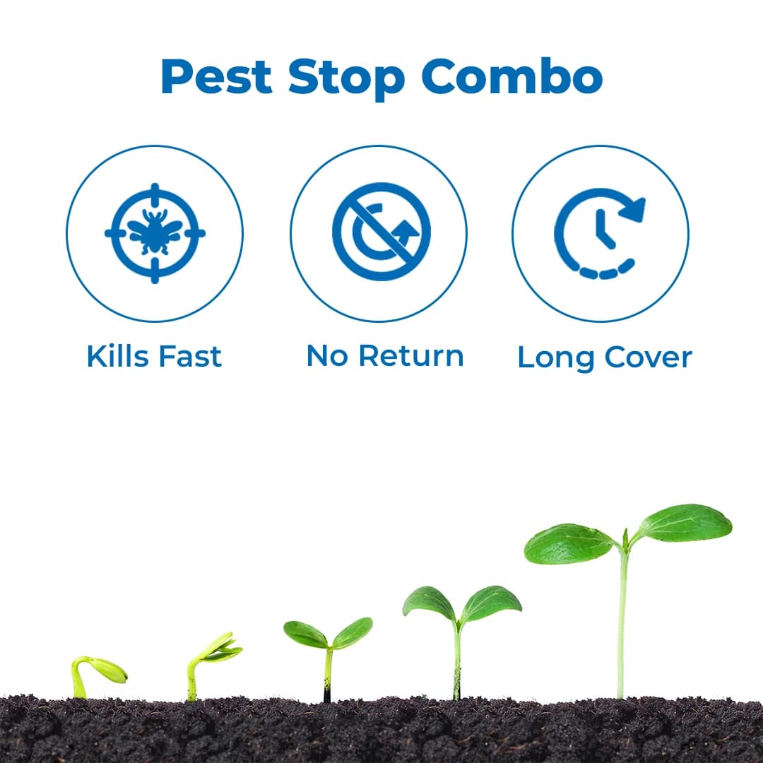 Parijat Leonis Pyriproxyfen 10% + Bifenthrin 10% EC Insecticide, Effectively Controls All The Stages Of Whitefly - Image 3