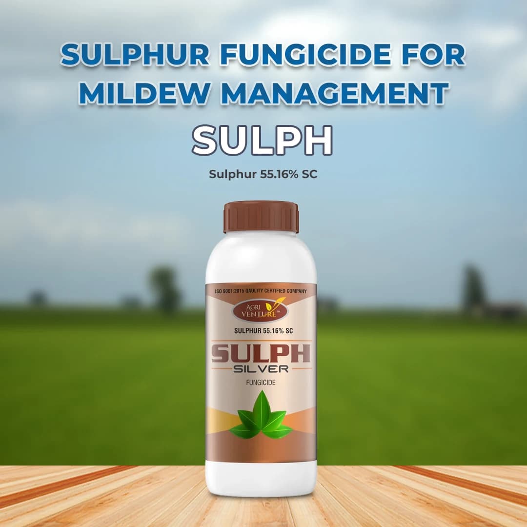 Agriventure Sulph Silver (Sulphur 55.16% Sc) Contact Fungicide Used For The Control Of Powdery Mildew Of Grape And Mango - Image 2