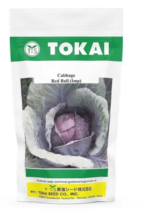 Tokai Hybrid Red Cabbage Rede Ball Imported, Roundhead And Deep Red Color.