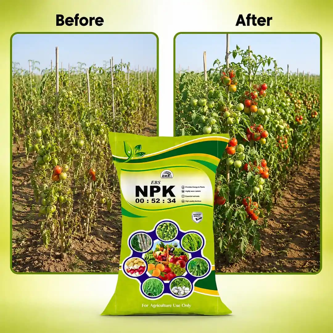 EBS NPK 0:52:34 Fertilizer - 25KG - Image 7