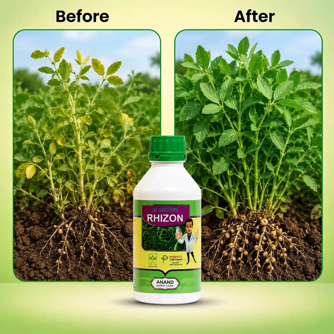 Dr. Bacto\'s Rhizon, Rhizobium Spp. Fixes The Atmospheric Nitrogen, Improves The Plant\'s Vigor And Health, Eco-Friendly - Image 2