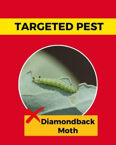 Katyayani Spino25 Spinosad 2.5% SC Insecticide, Effective Pest Control In Crops - Image 4