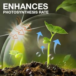 CropKraft Plant Growth Supplement (Liquid), Root Enhancer For Plants, Pot Plant Growth Enhancers (Pack of 3) 3