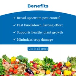 Coromandel Phendal Phenthoate 50% EC, Non-Systemic Organophosphorus Insecticide, Broad Spectrum Effectiveness On Crop Pest 4