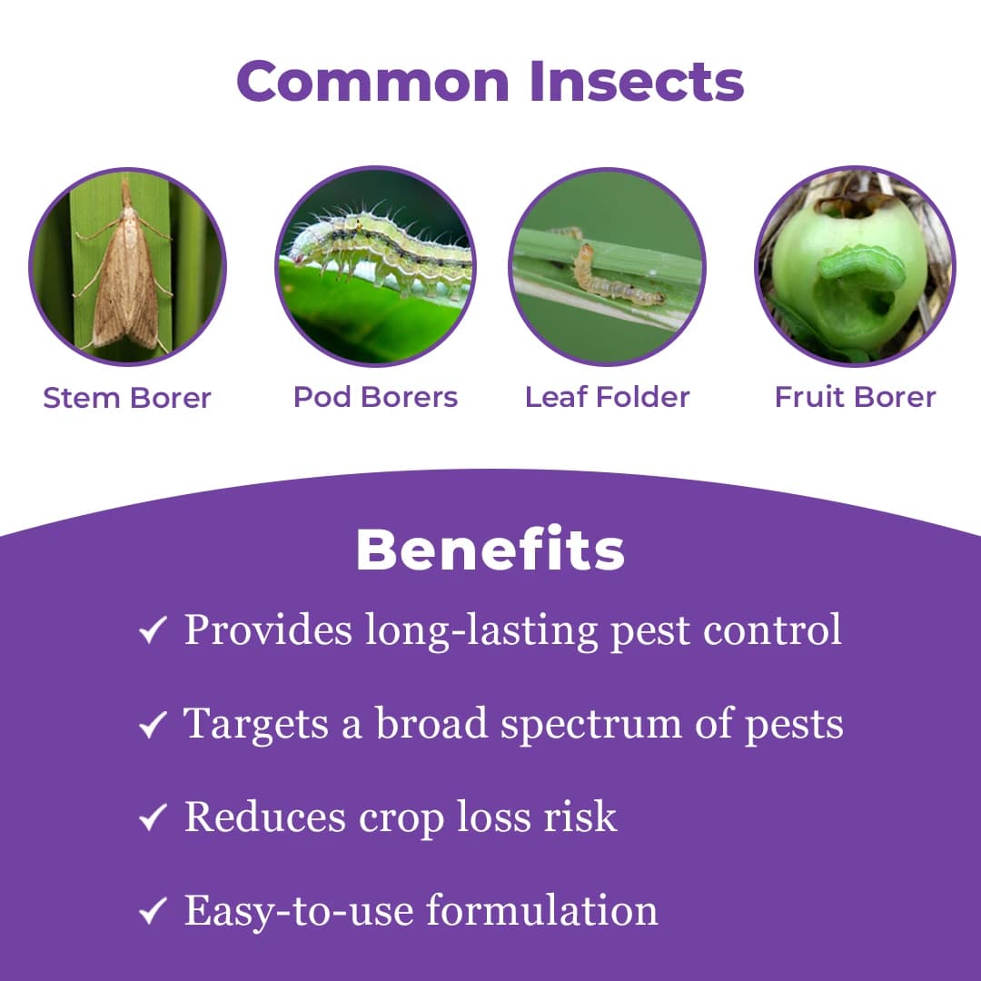 FMC Coragen Insecticide - Image 3