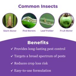 एफएमसी कोरागेन क्लोरांट्रानिलीप्रोल 18.5% डब्ल्यूडब्ल्यू एससी, व्यापक प्रभावी कीटनाशक 3