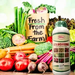 T Stanes Stanohume (12% HA) Plant Growth Regulator, Improves The Structure of the Soil and Increases Water Retention, Use for Home Garden and Plants - Image 5
