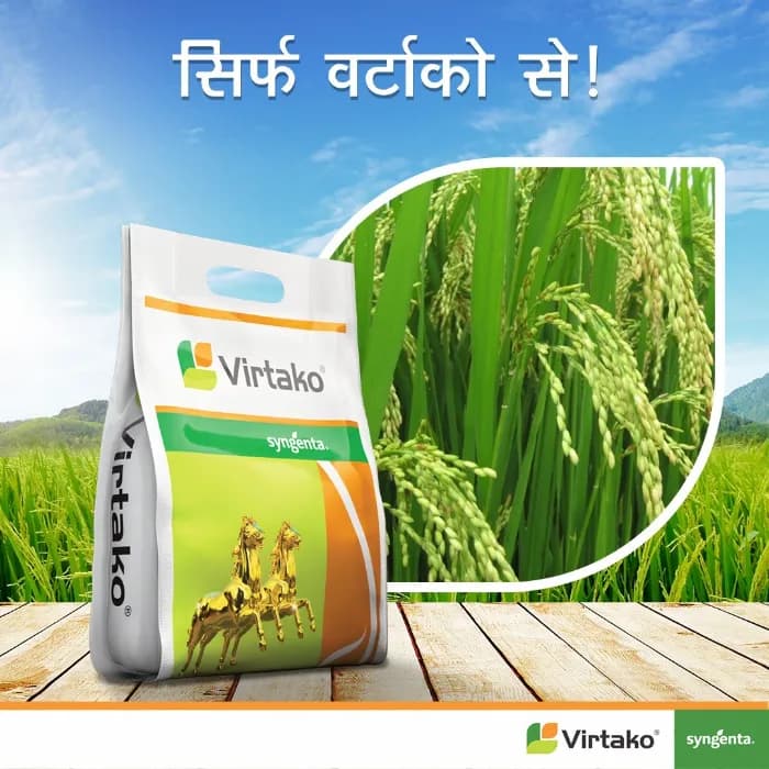 Syngenta Virtako Insecticide - Image 2