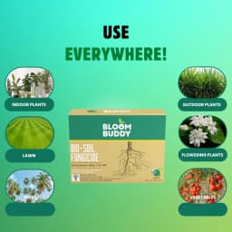 BloomBuddy Trichoderma Viride 1.5% WP Biofungicide, Disease Prevention & Plant Growth Promotion 4