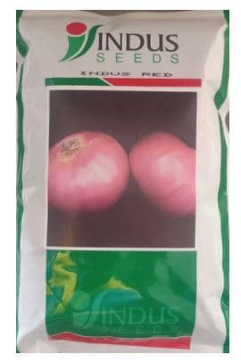 Indus Red Onion Seeds , Pyaaj Ke Beej, Kanda Na Bee, Long Storage Capacity Agribegri Online. - Image 1