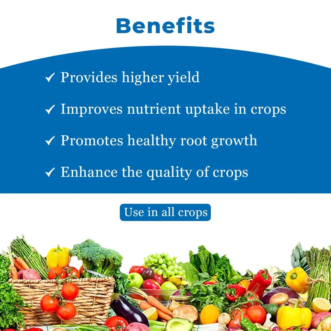 Spring Ever - Plant Growth Promoter - Image 4