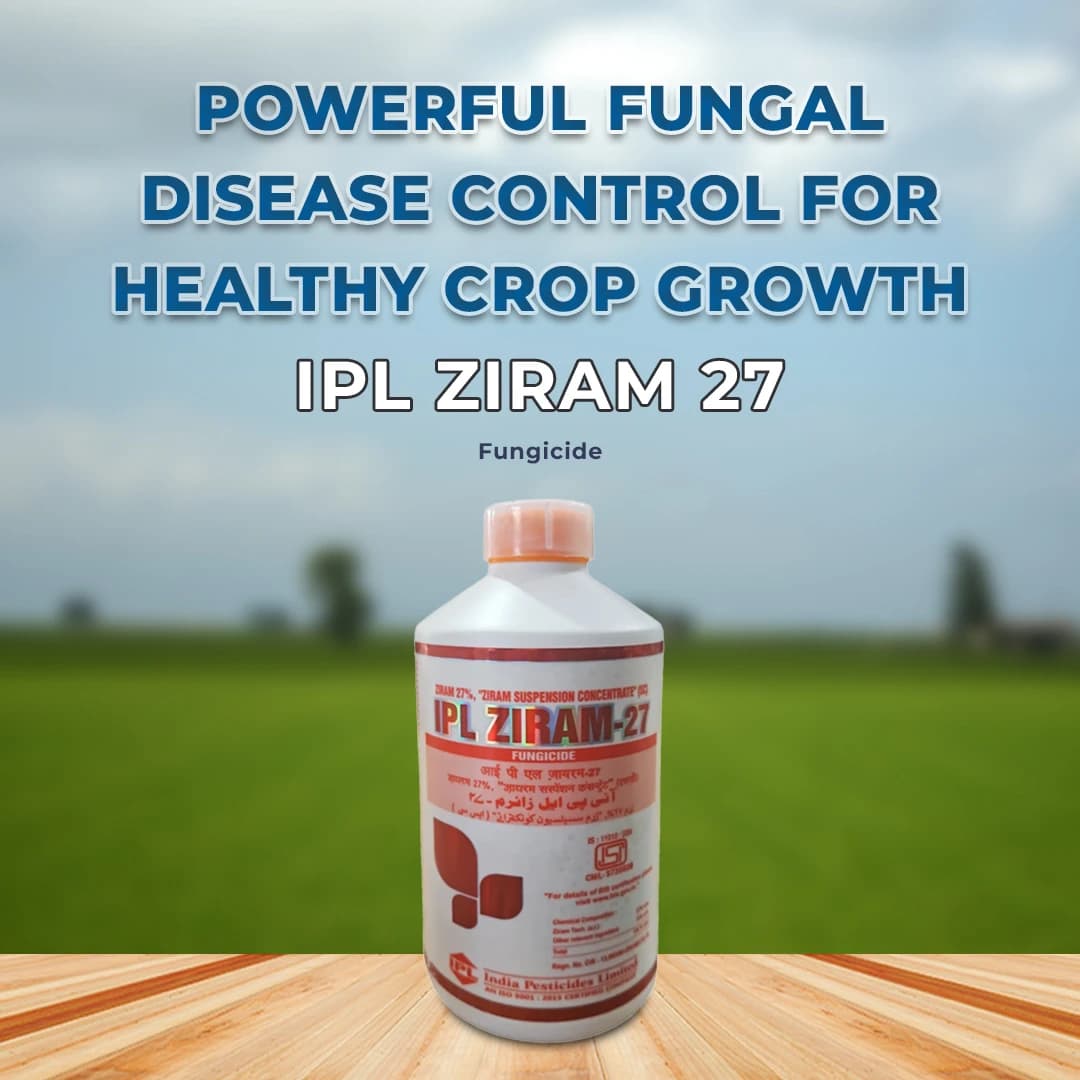 IPL Ziram 27% SC Contact Fungicide, Effective Against Wide Range Fungal Diseases - Image 2