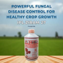 IPL Ziram 27% SC Contact Fungicide, Effective Against Wide Range Fungal Diseases 2