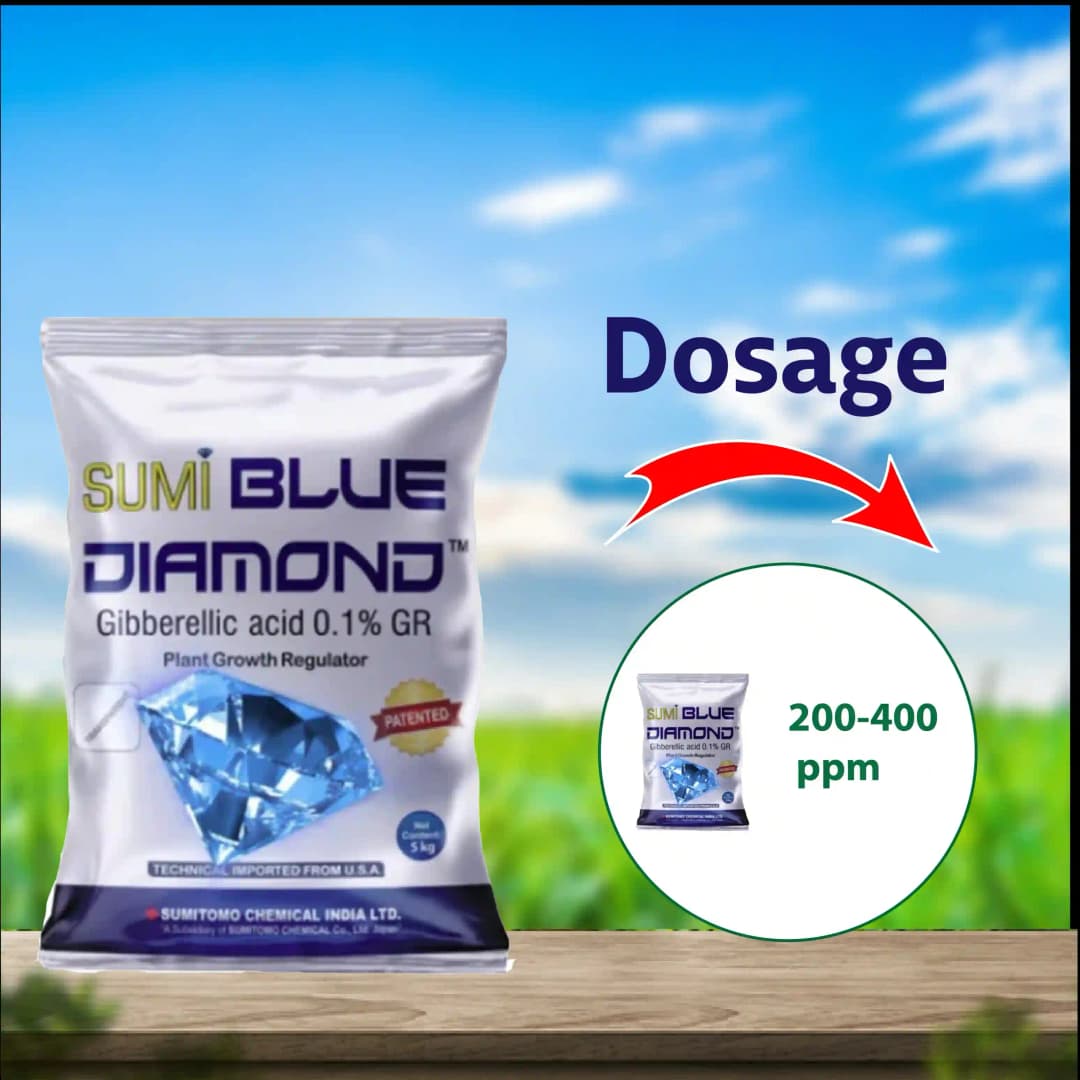 Sumitomo Sumi Blue Diamond Gibberellic Acid 0.1% GR Plant Growth Regulator, Complete Development Helps the Paddy Plant - Image 8