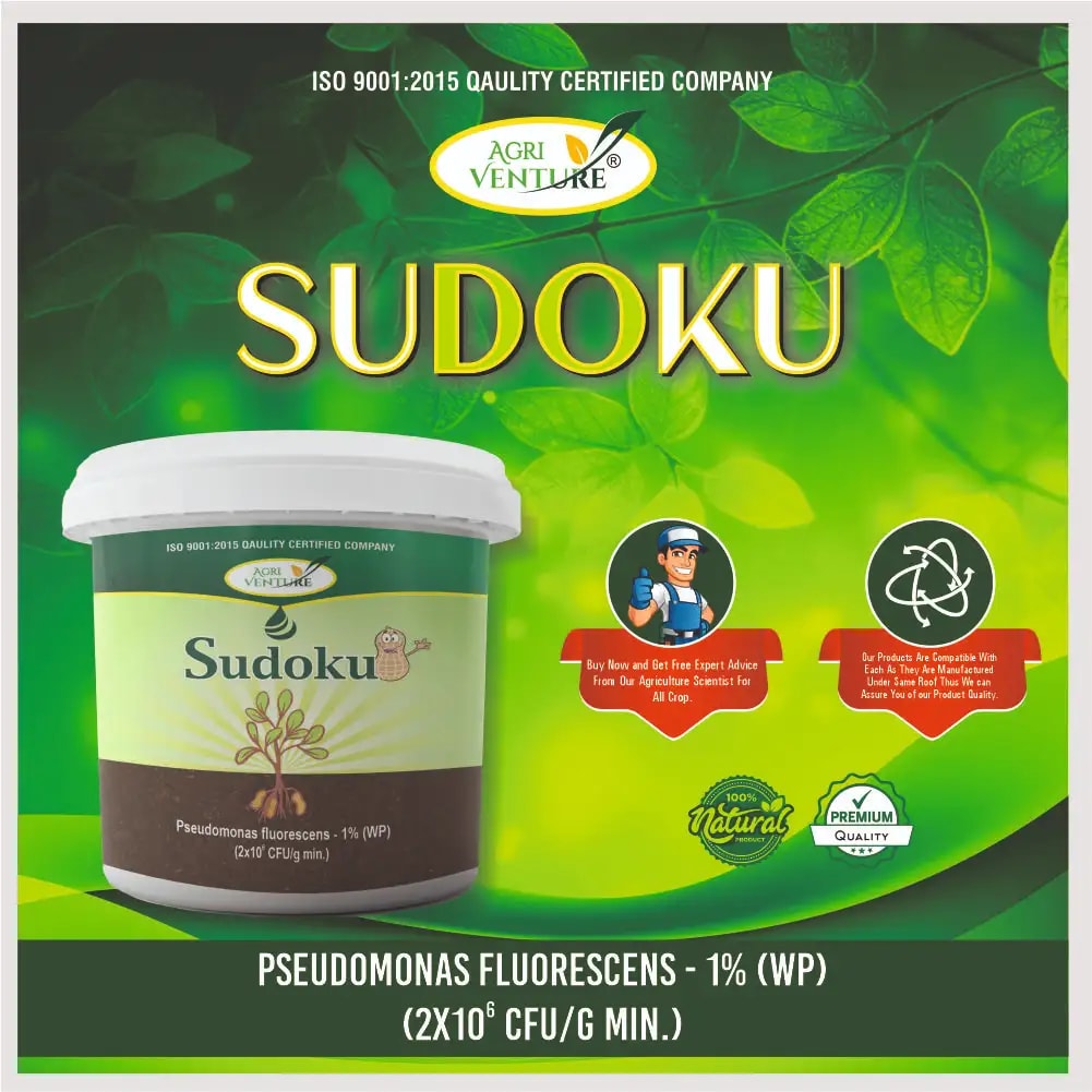 Agriventure Sudoku (Pseudomonas Flurescens 1% Wp) Promote Plant Growth And Health By Suppressing Soil Borne Diseases