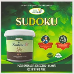 Agriventure Sudoku (Pseudomonas Flurescens 1% Wp) Promote Plant Growth And Health By Suppressing Soil Borne Diseases 2