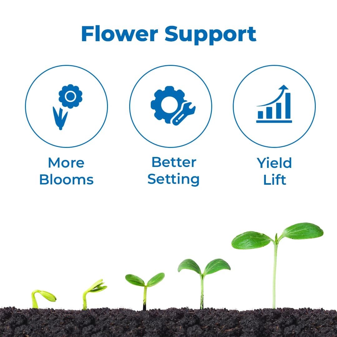 Boom Flower Fertilizer - Nitrobenzene 20% EW - Image 3