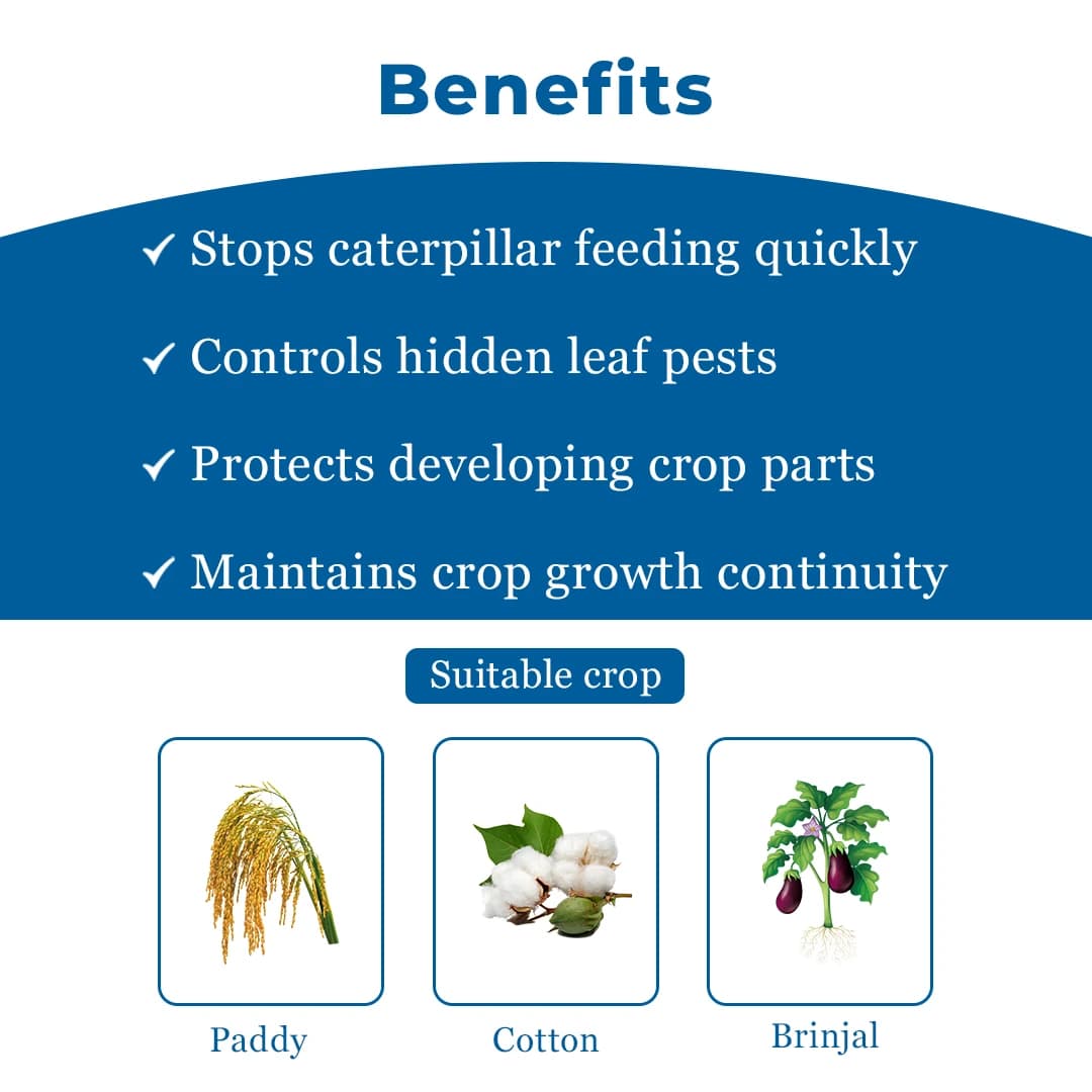 Chemley Catgen Insecticide - Image 4